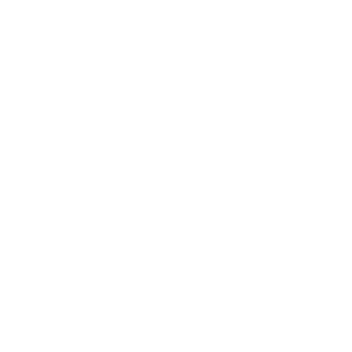 wildmadebd.com